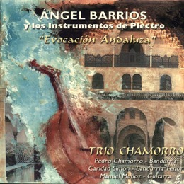 Ángel Barrios. Ángel Barrios y los instrumentos de Plectro.
